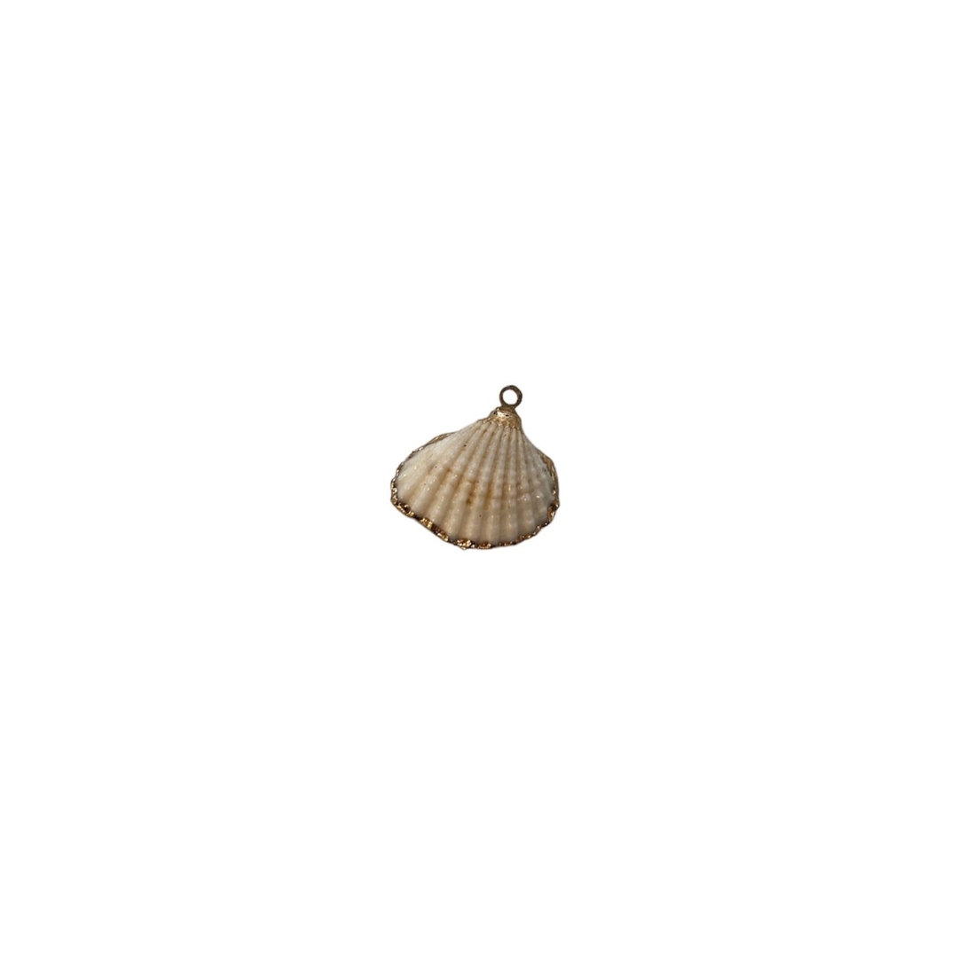 Charm #65